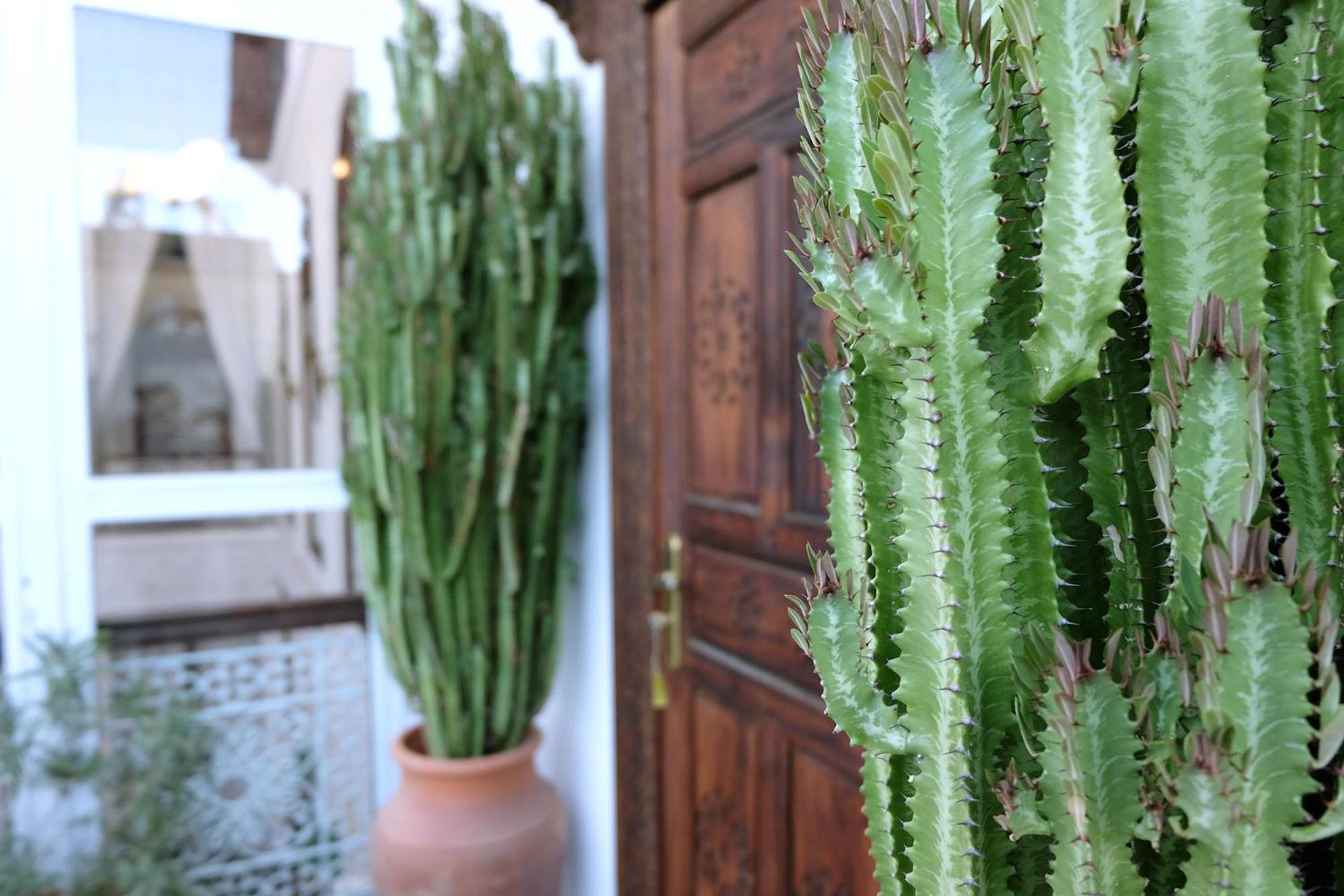 Hotel Riad Alassala Fez Habitación foto